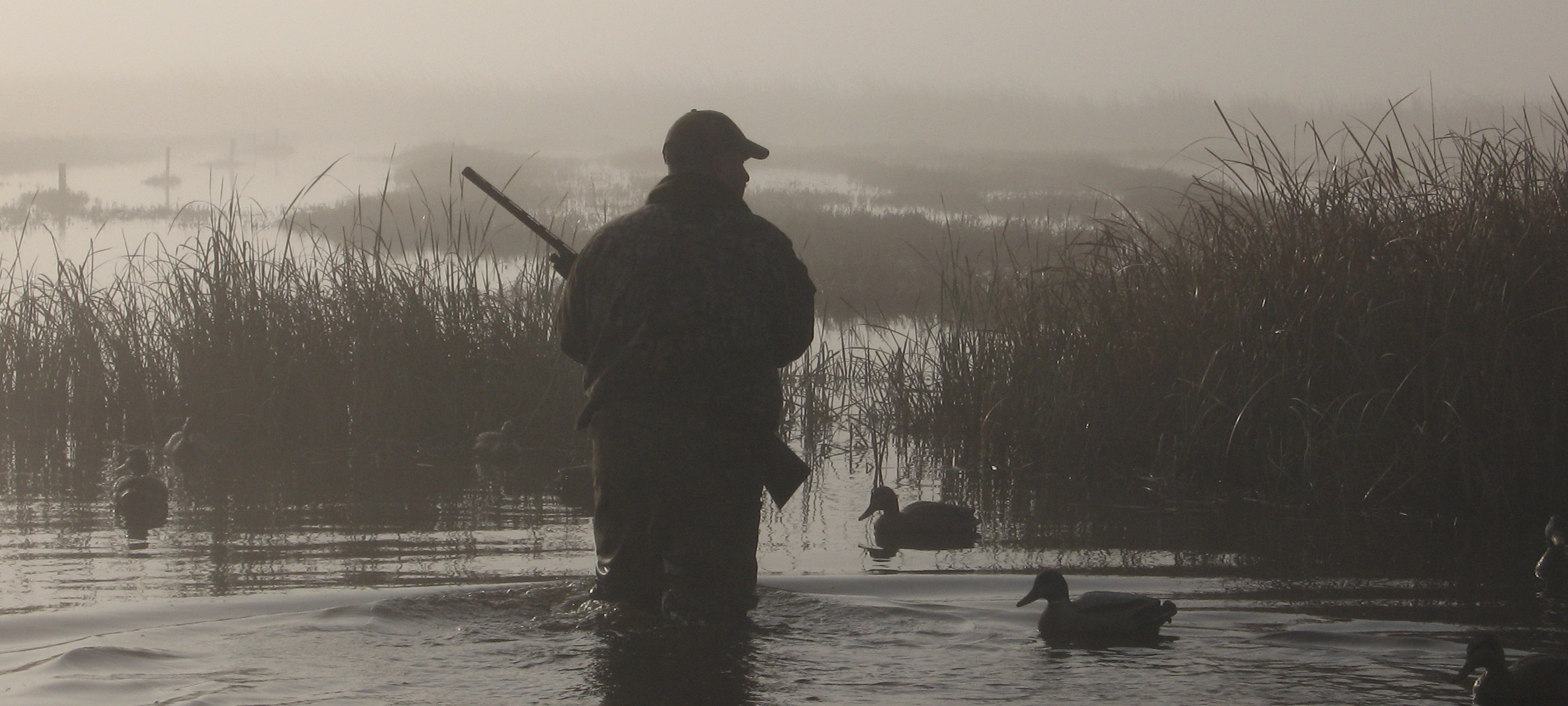 montana-2013-14-waterfowl-regulations-set-montana-hunting-and-fishing