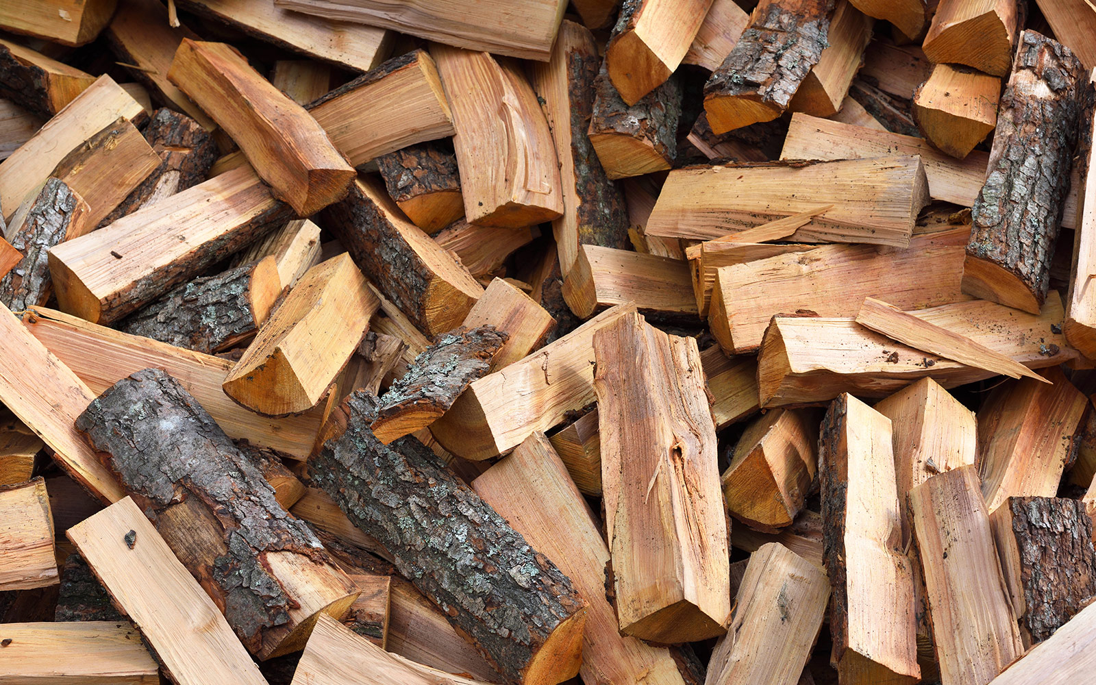 Forest Service Offering Free Personal Use Firewood Cutting Beginning 