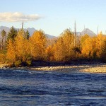 Flathead River Fishing