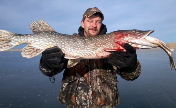 Helena Area Reservoirs Fishing Report - Montana Hunting and Fishing Information