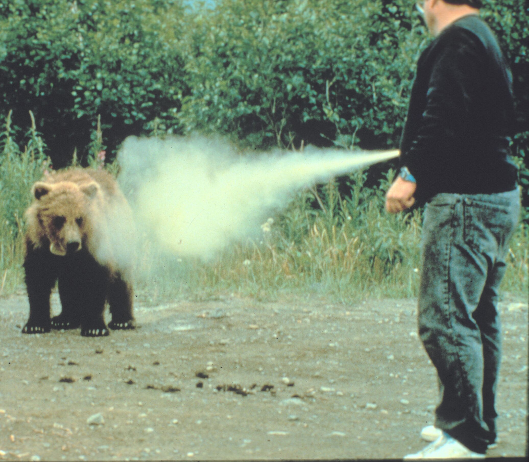 Bear Spray And Safety Message From Montana FWP - Montana Hunting And ...