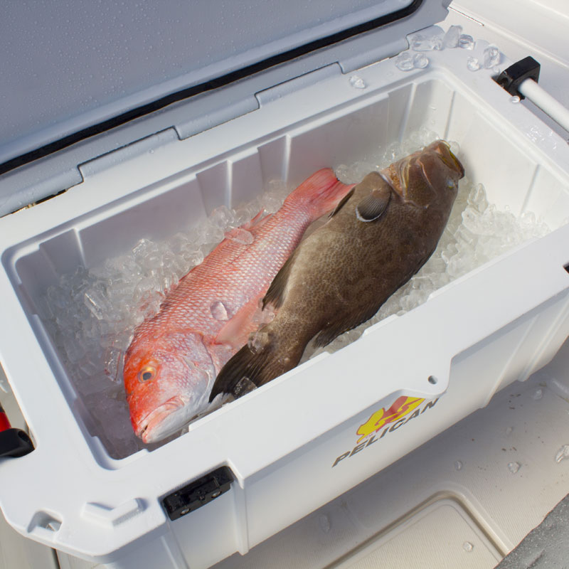 YOU Can Win a FREE Pelican Elite Cooler by Listening to the Montana Outdoor  Radio Show Tomorrow Morning! - Montana Hunting and Fishing Information