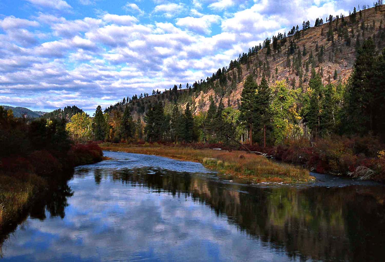  Fishing Restrictions Lifted on Clark Fork River - Montana 