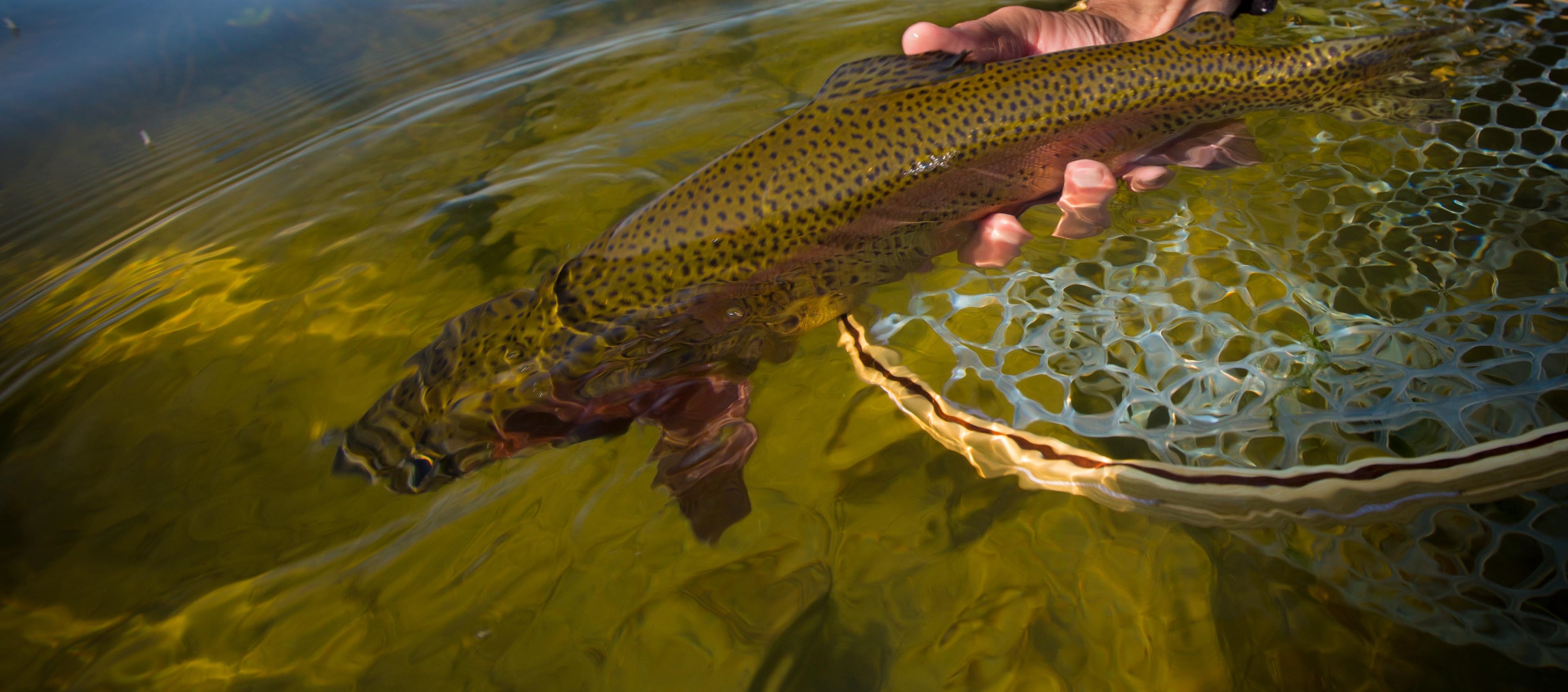 eastern-montana-fishing-report-for-the-week-of-8-26-13-montana