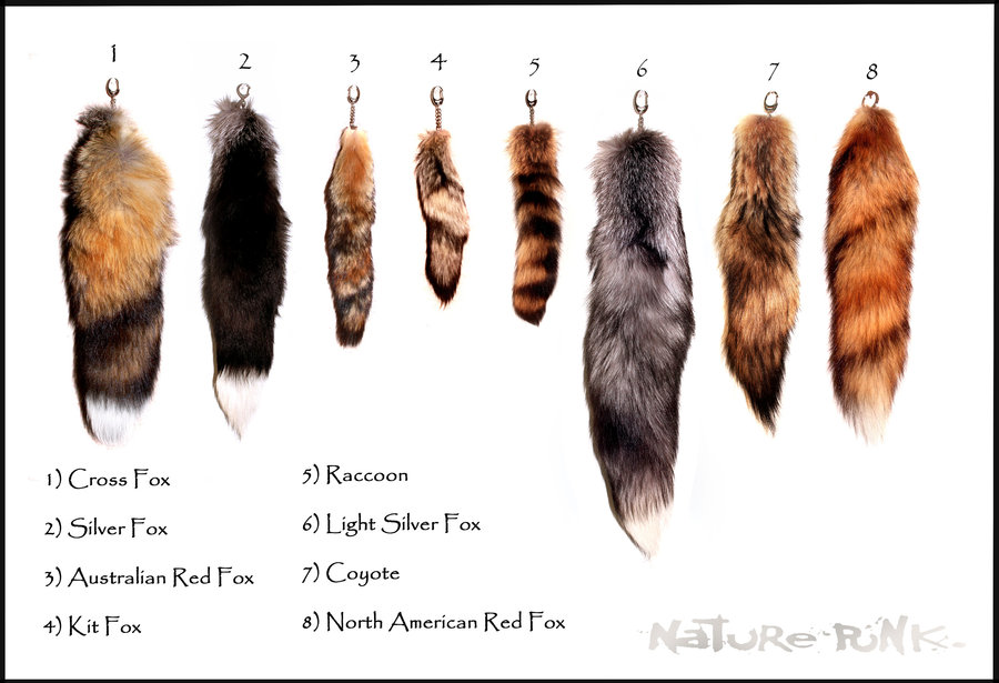 Mark Your Calendars for the Upcoming Western States Fur Auction