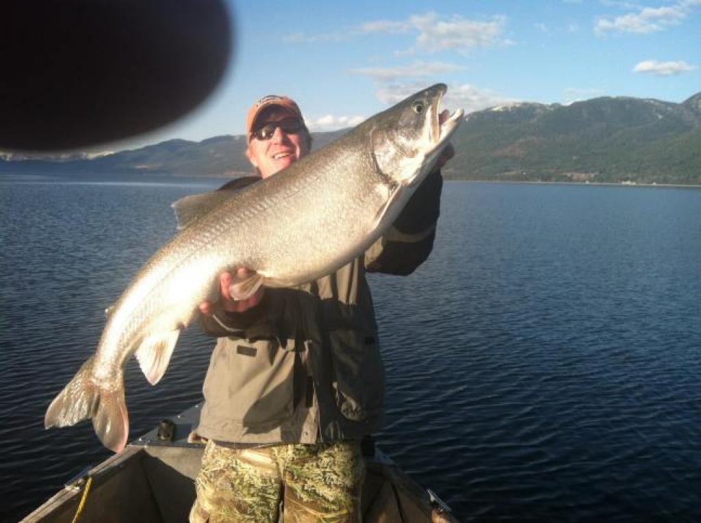 CSKT, FWP Issue Lake Trout Consumption Guidelines for Flathead Lake