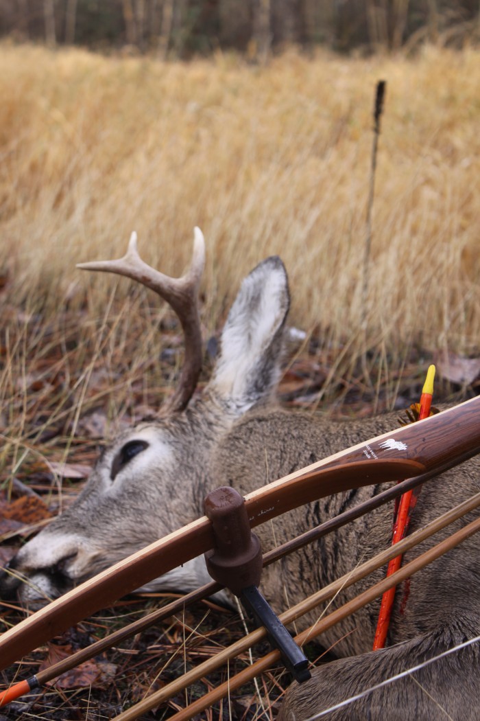 The Challenge Of Traditional Bow Hunting [PICS] Montana Hunting and