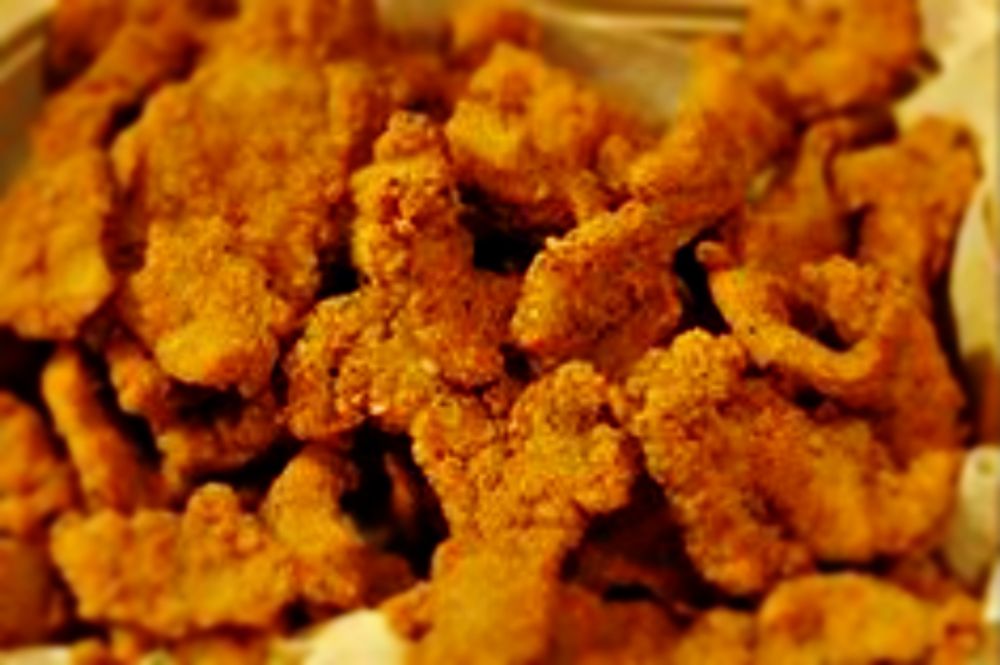 Fish Fry Fun! (by Montana Grant) - Montana Hunting and Fishing Information