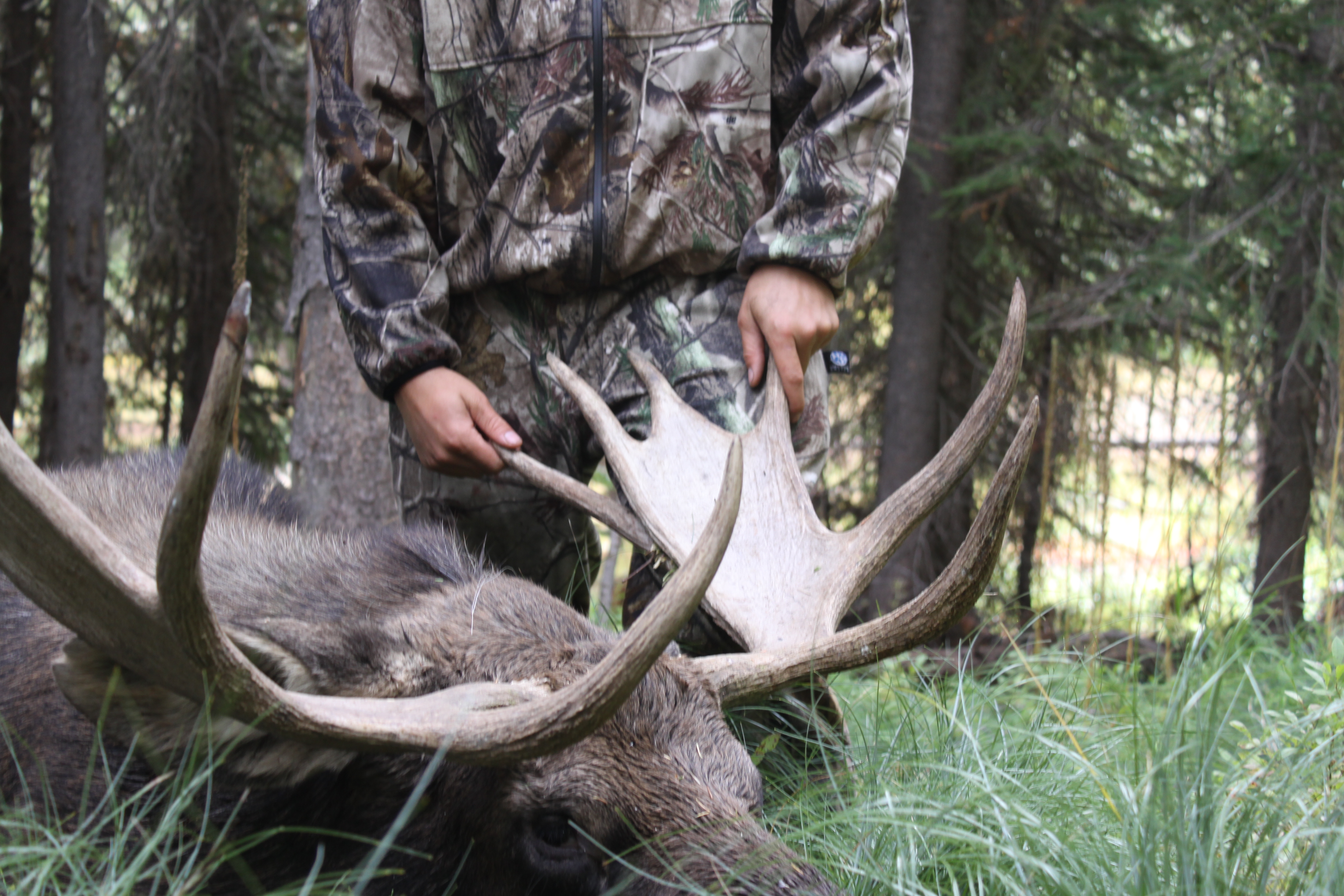 Montana FWP Will Draw Special Permits This Week! Montana Hunting and