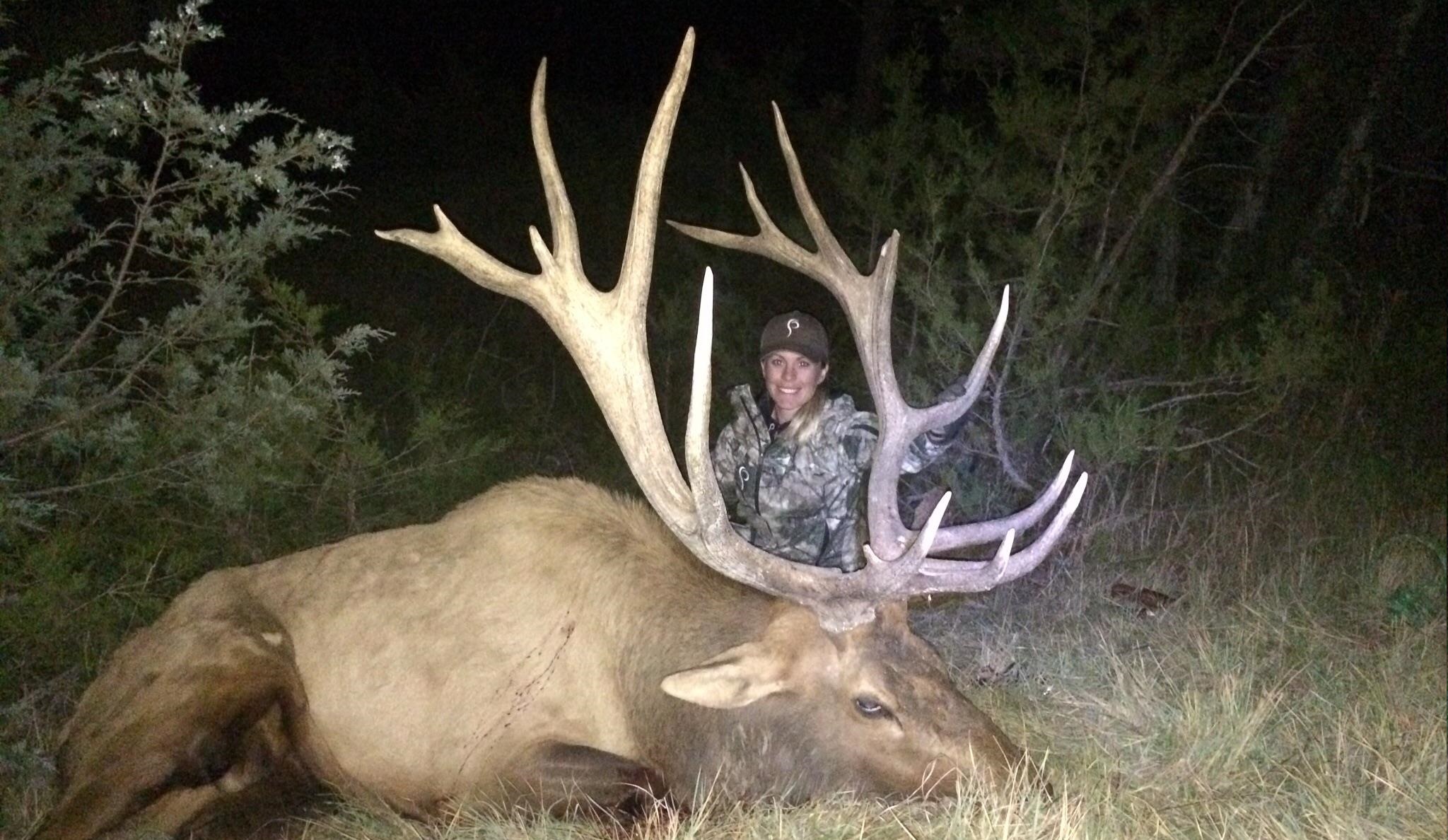 A Bull in the Breaks! Montana Hunting and Fishing Information