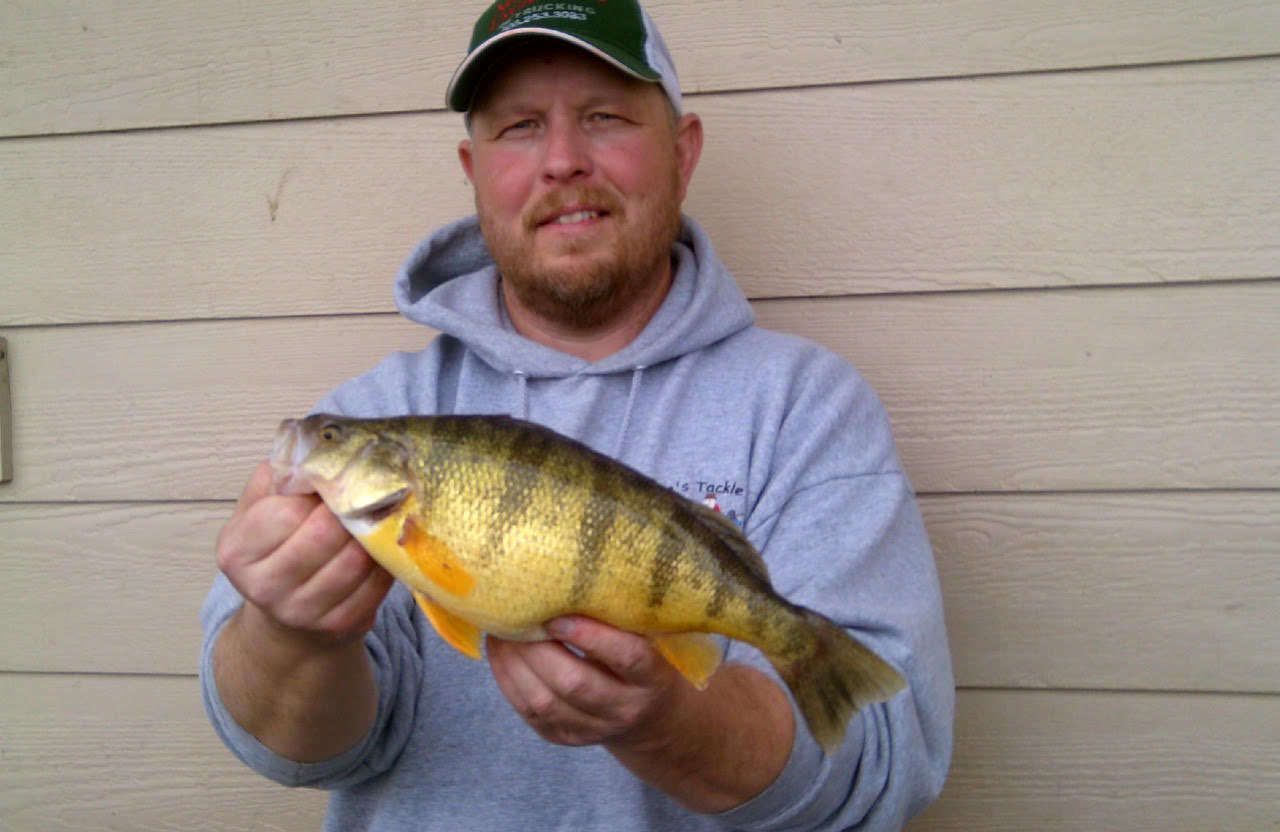 Perch Pounder II