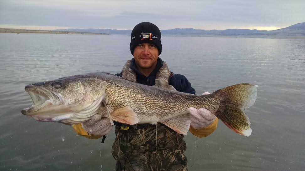 2016 Canyon Ferry Reservoir Walleye Spawning Survey WrapUp (5.5.16