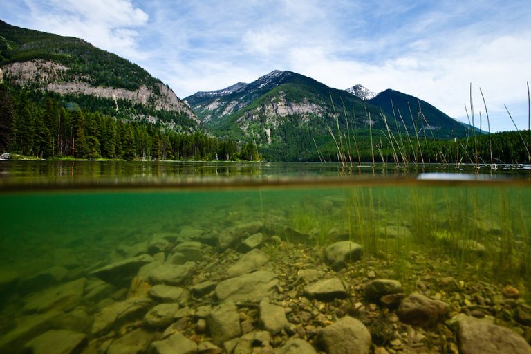 Flathead National Forest announces water testing results from Holland ...