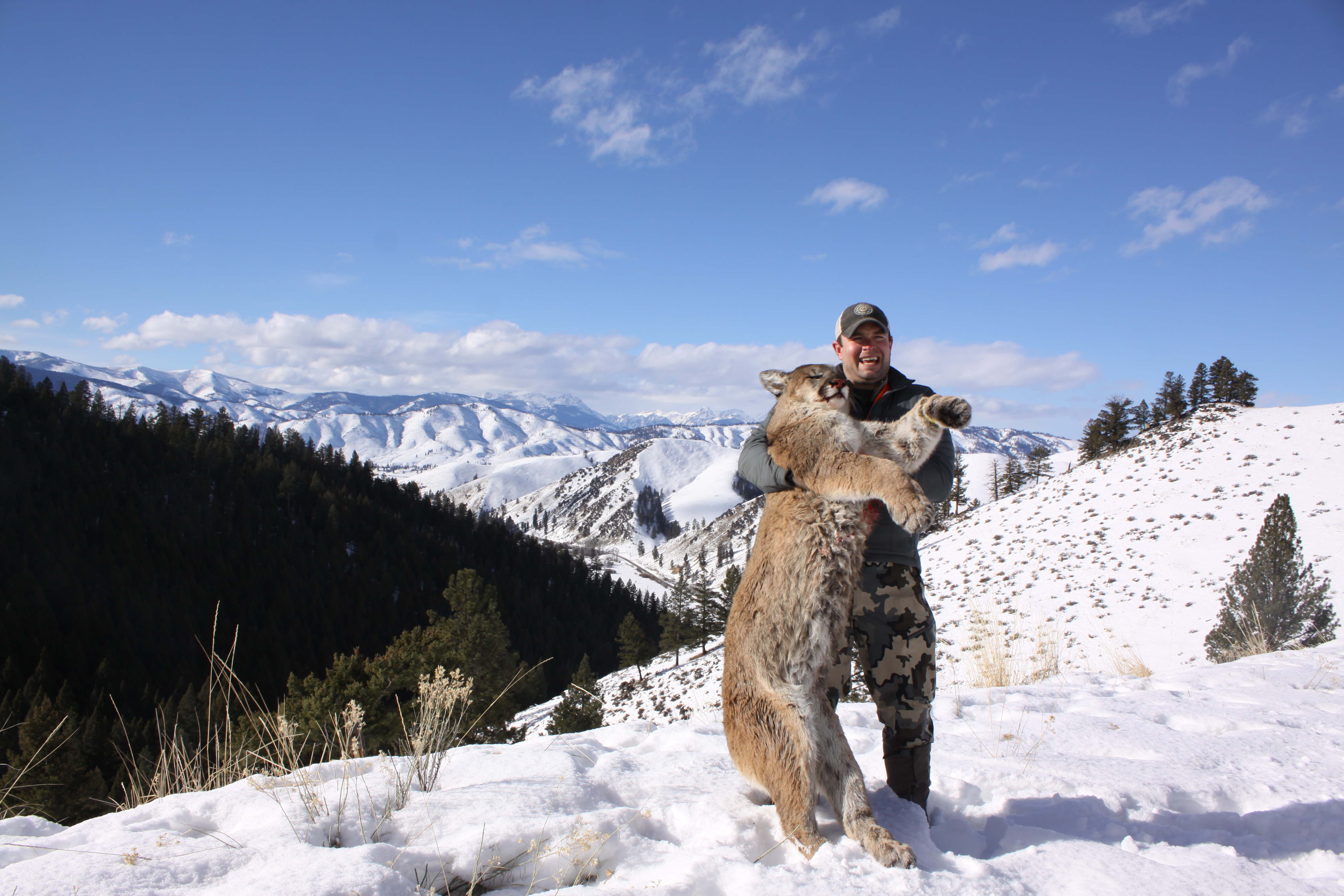 All Mountain Lion Hunting To Close In HD's 212, 215 & 217 Montana Hunting and Fishing