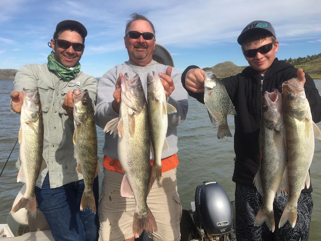 Walleye Fishing Was Good First Week in June on Peck - Montana