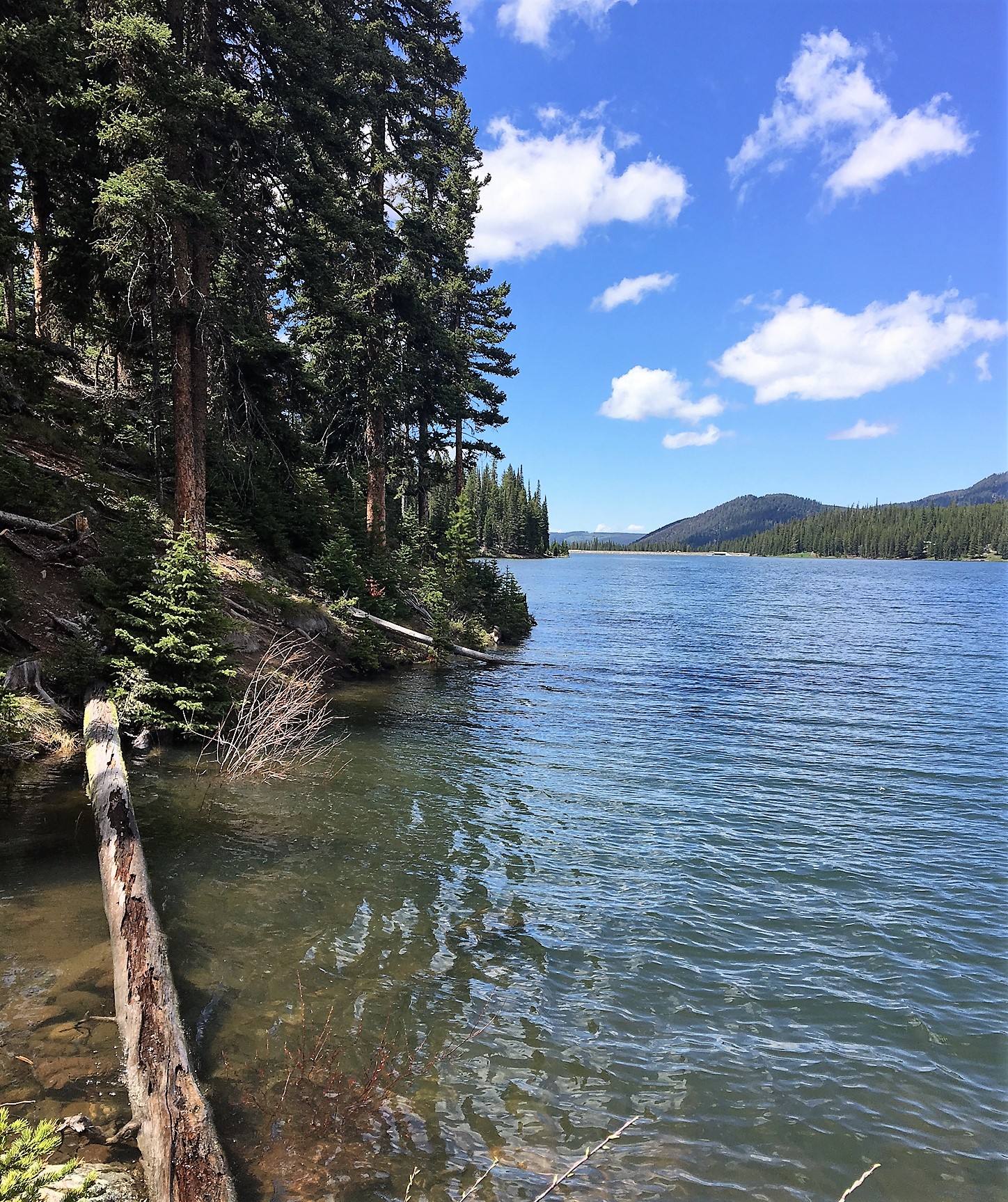 HYALITE RESERVOIR REPORT!!! - Montana Hunting and Fishing Information