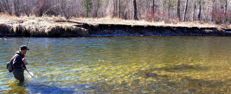 Clark Fork River Fishing Report by Grizzly Hackle 11.21