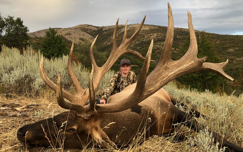 ELKZILLA!!! - Montana Hunting and Fishing Information