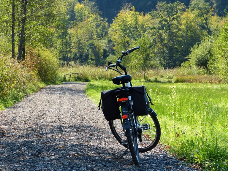 EBikes on ‘motorized use’ Forest Service trails, roads