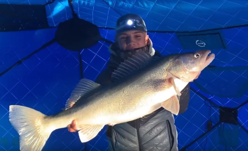 Fort Peck Giant Walleye through Ice [VIDEO] Montana