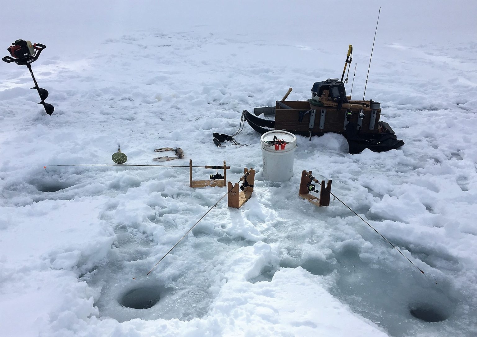 Alert Canyon Ferry Ice Update Montana Hunting and Fishing Information