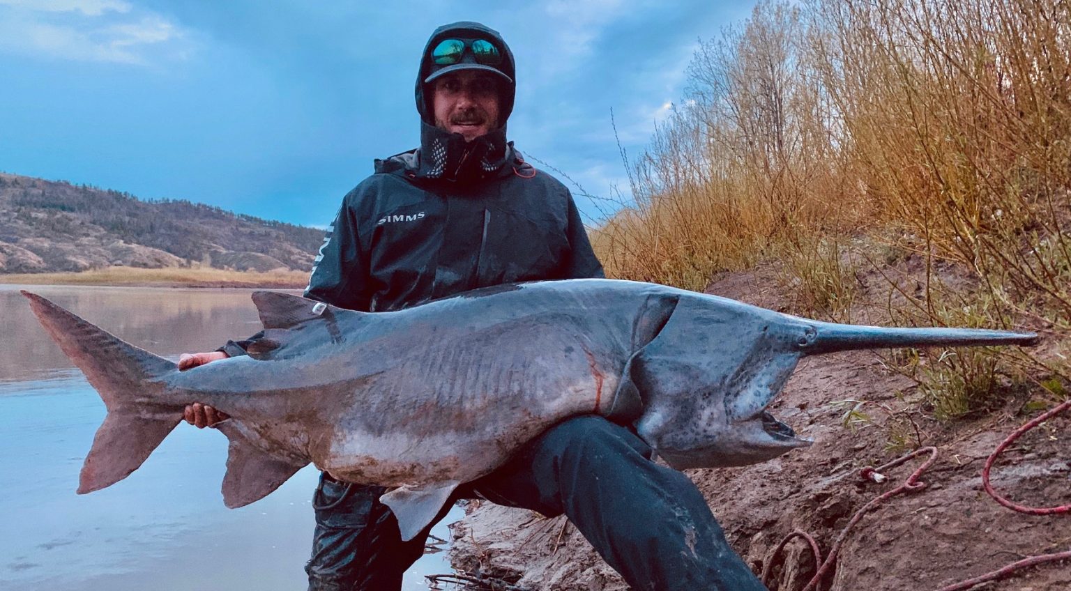 MT bowfisherman shoots world record paddlefish in Yellowstone River