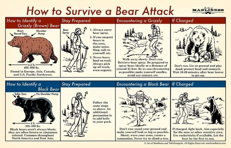 bear-spray-101-montana-hunting-and-fishing-information