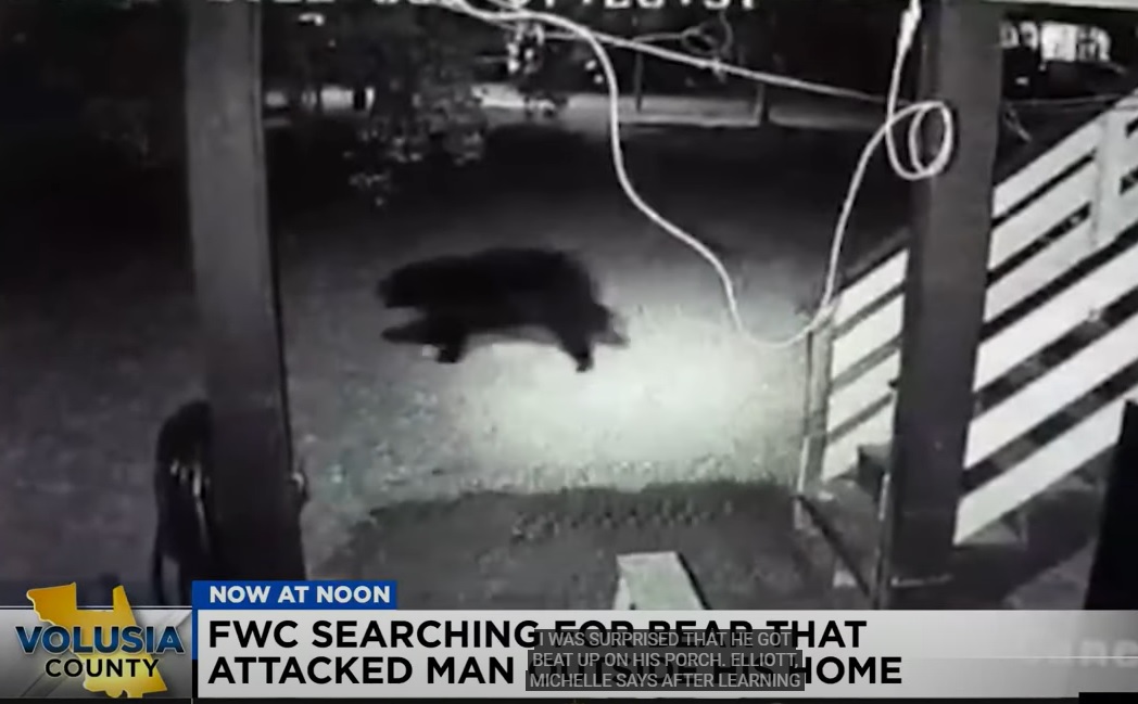 Bear attacks man outside his Daytona Beach Home