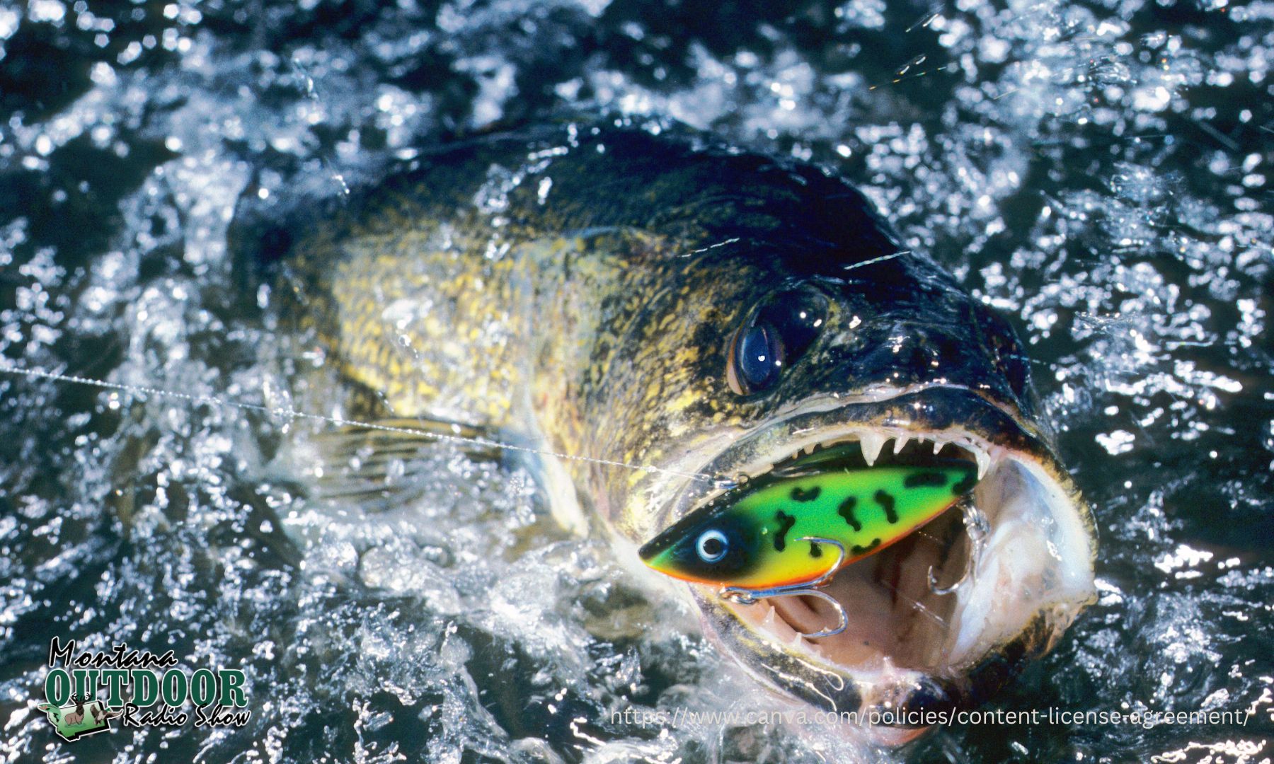 Canyon Ferry Walleye Festival Day 1 Leaders Montana Hunting and