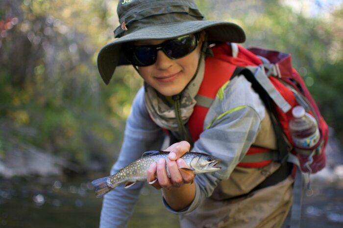 Nonnative brook trout discovered in Soda Butte Creek in