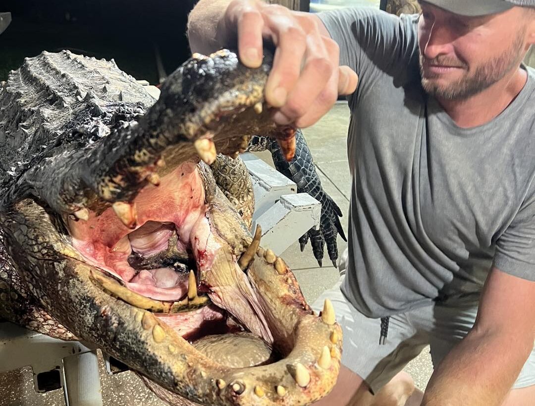 WHAT A CROC!!! - Montana Hunting and Fishing Information