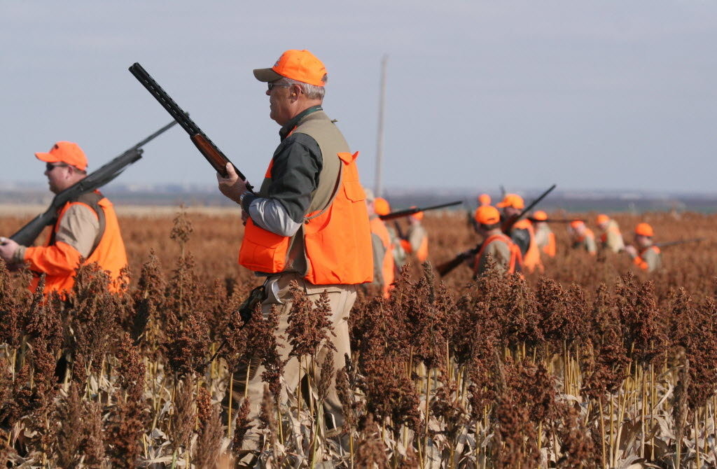 Ask Phil: The Best Shotshell Loads for Pheasants?