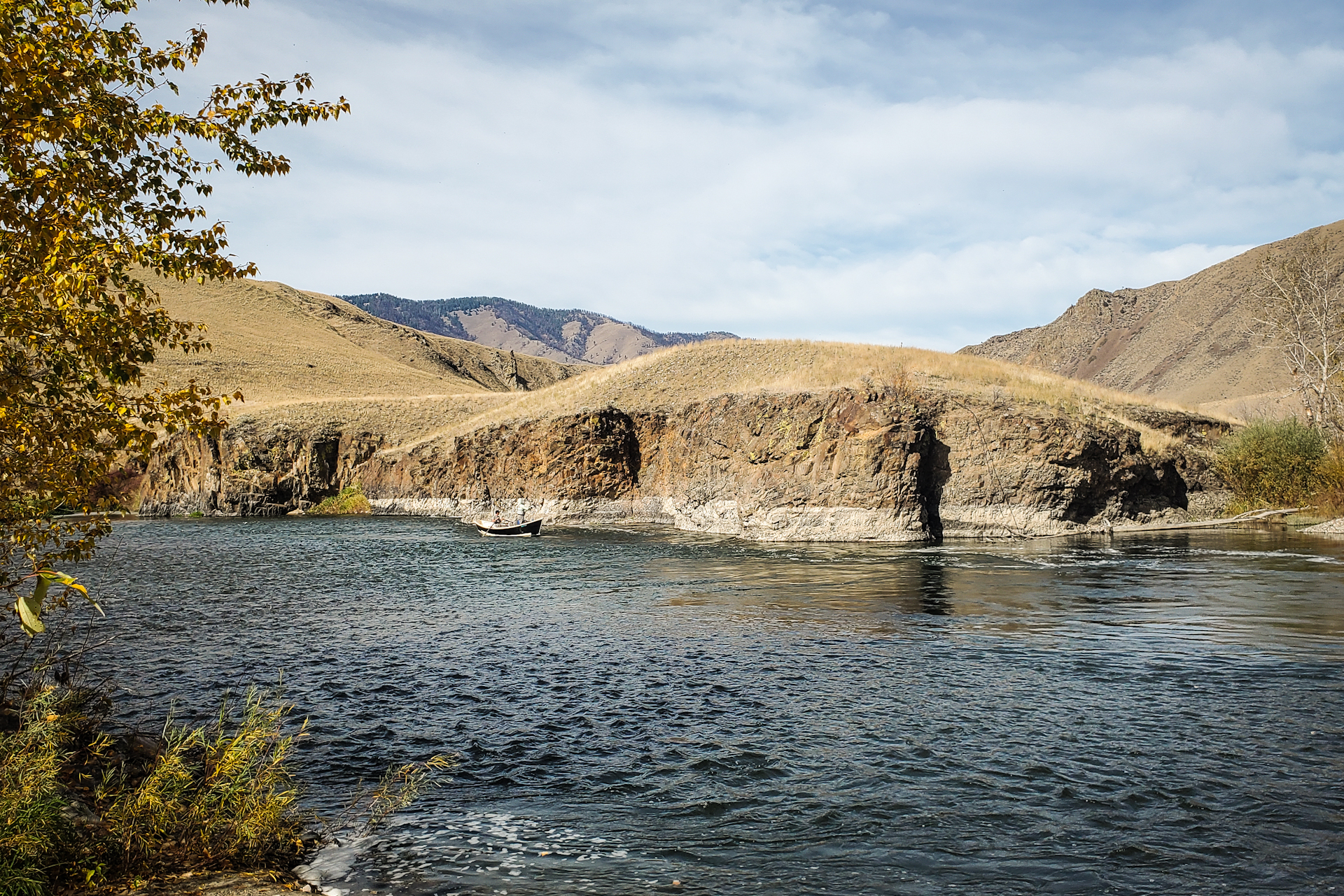 Upper Salmon River Steelhead Update 10.17.23