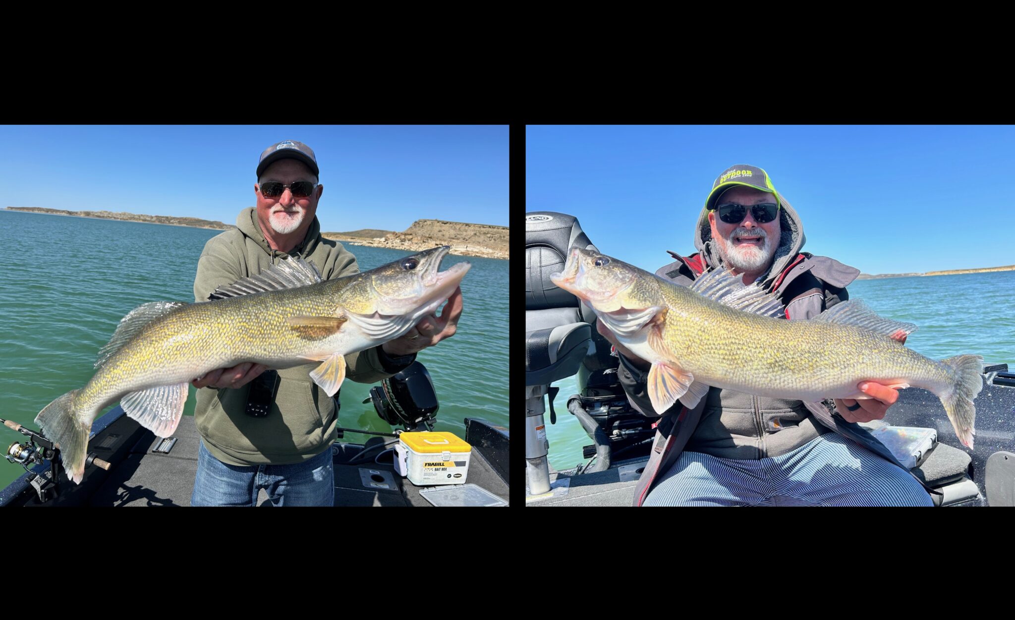 Big Walleye Time on Fort Peck - Montana Hunting and Fishing Information