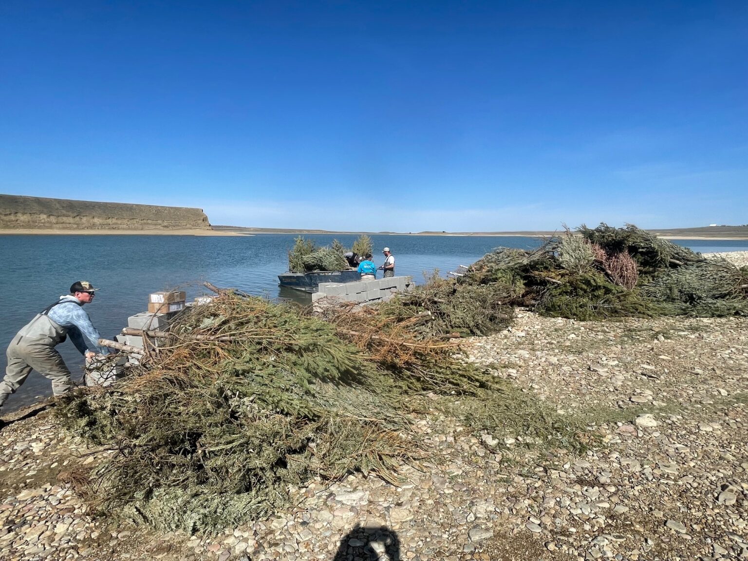 Volunteers and FWP Collaborate to Enhance Tiber Reservoir’s Fisheries ...