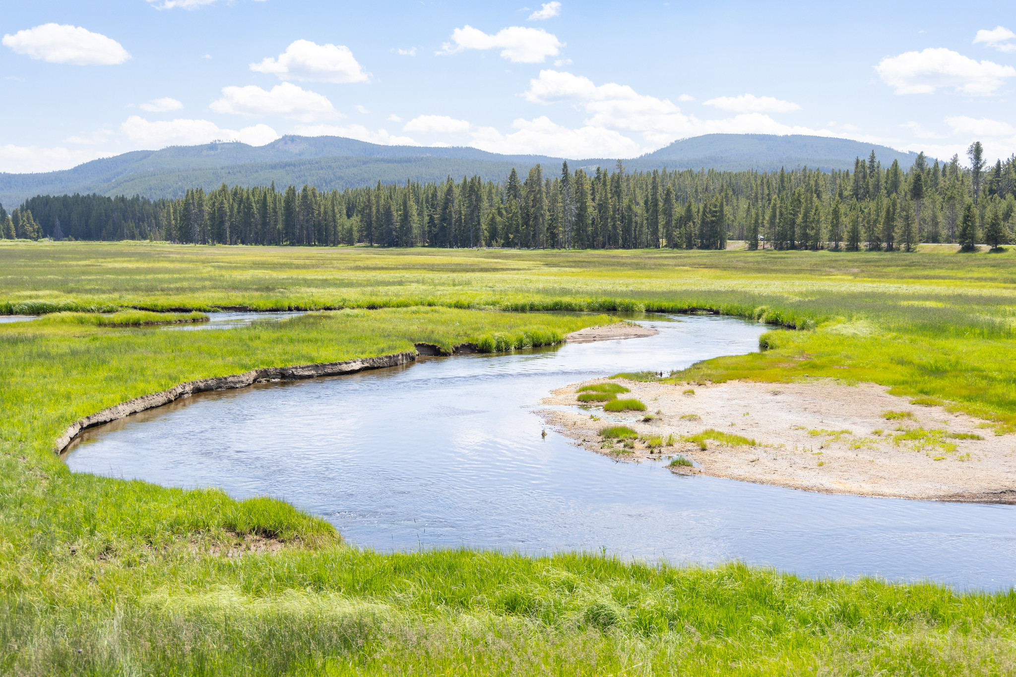 The Madison and Gibbon rivers in Yellowstone National Park are now open for fishing; the Firehole River is open with partial restrictions