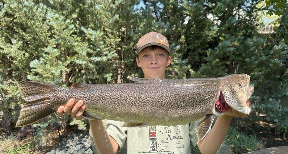 Young angler sets new tiger trout record