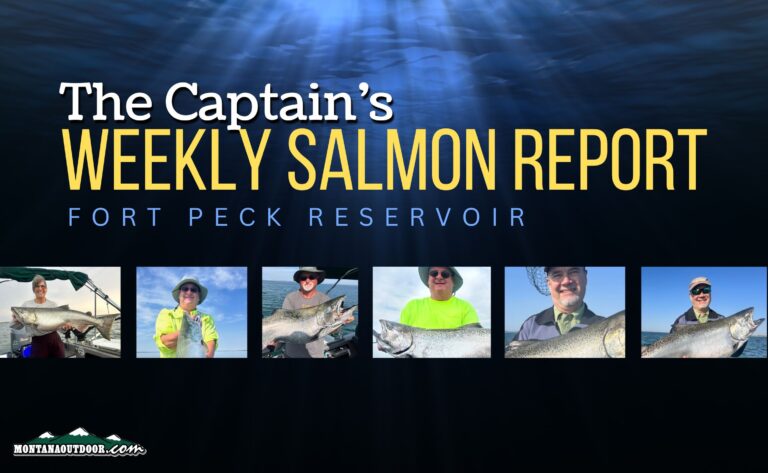 Captain’s Weekly Fort Peck Salmon report for 8.23.24 - Montana Hunting ...