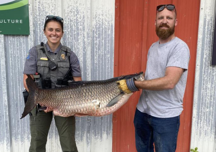 Missouri man named state record holder under alternative methods for grass carp