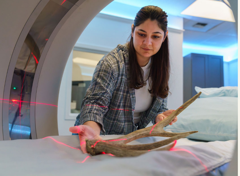 UM Student’s Groundbreaking Research Offers New Perspective on Antler Evolution