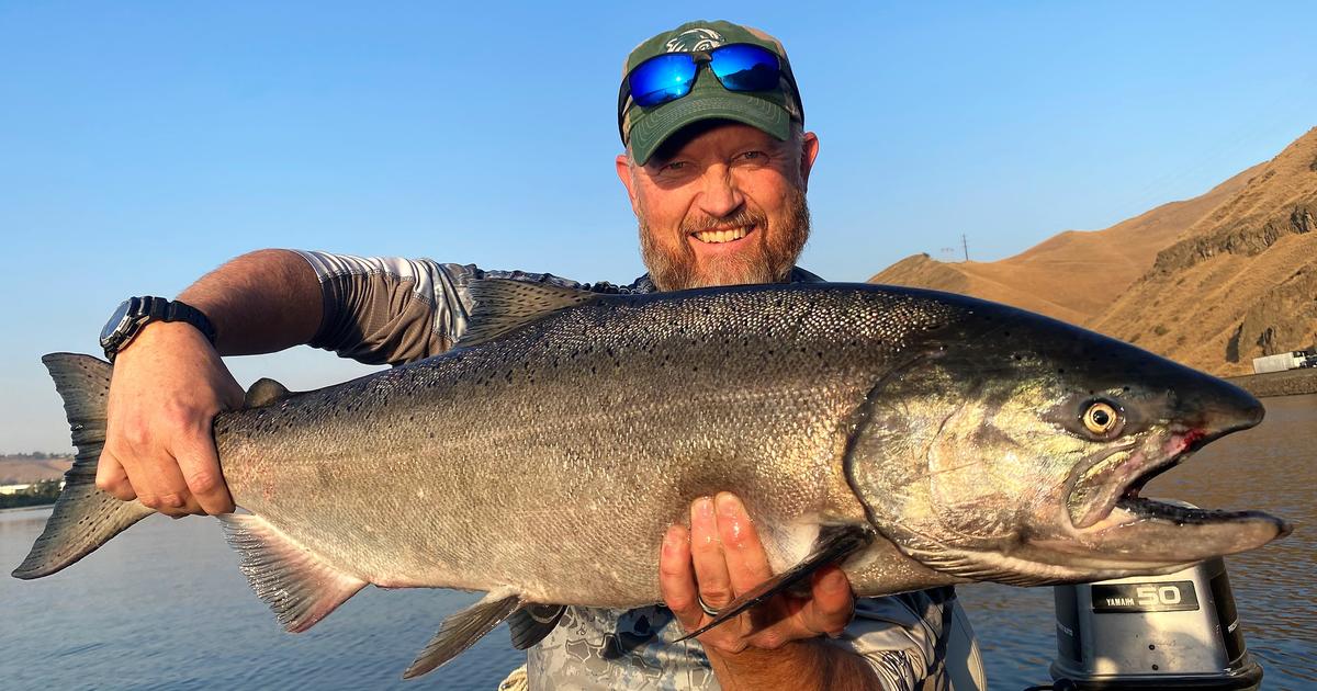 Upper Salmon River Chinook Harvest Report | Fall 2024