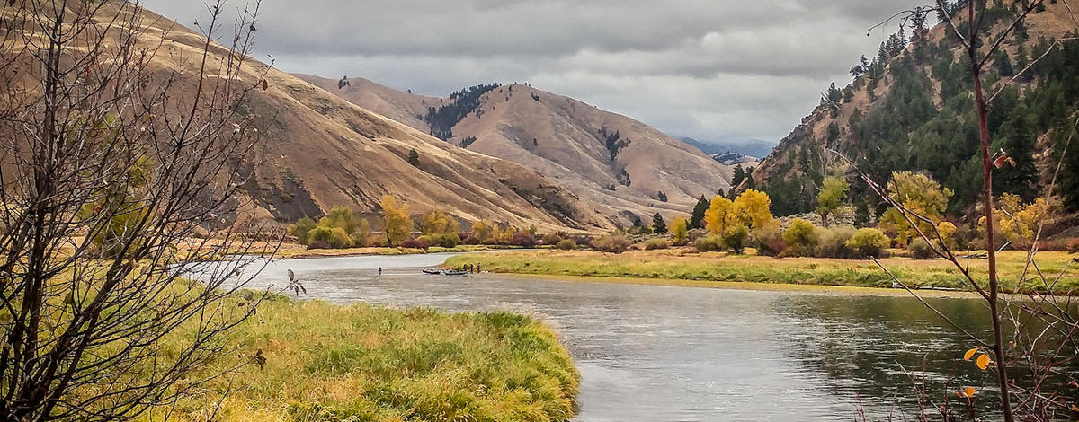 Upper Salmon River Fall 2024 Steelhead Fishing Update 10.8.24