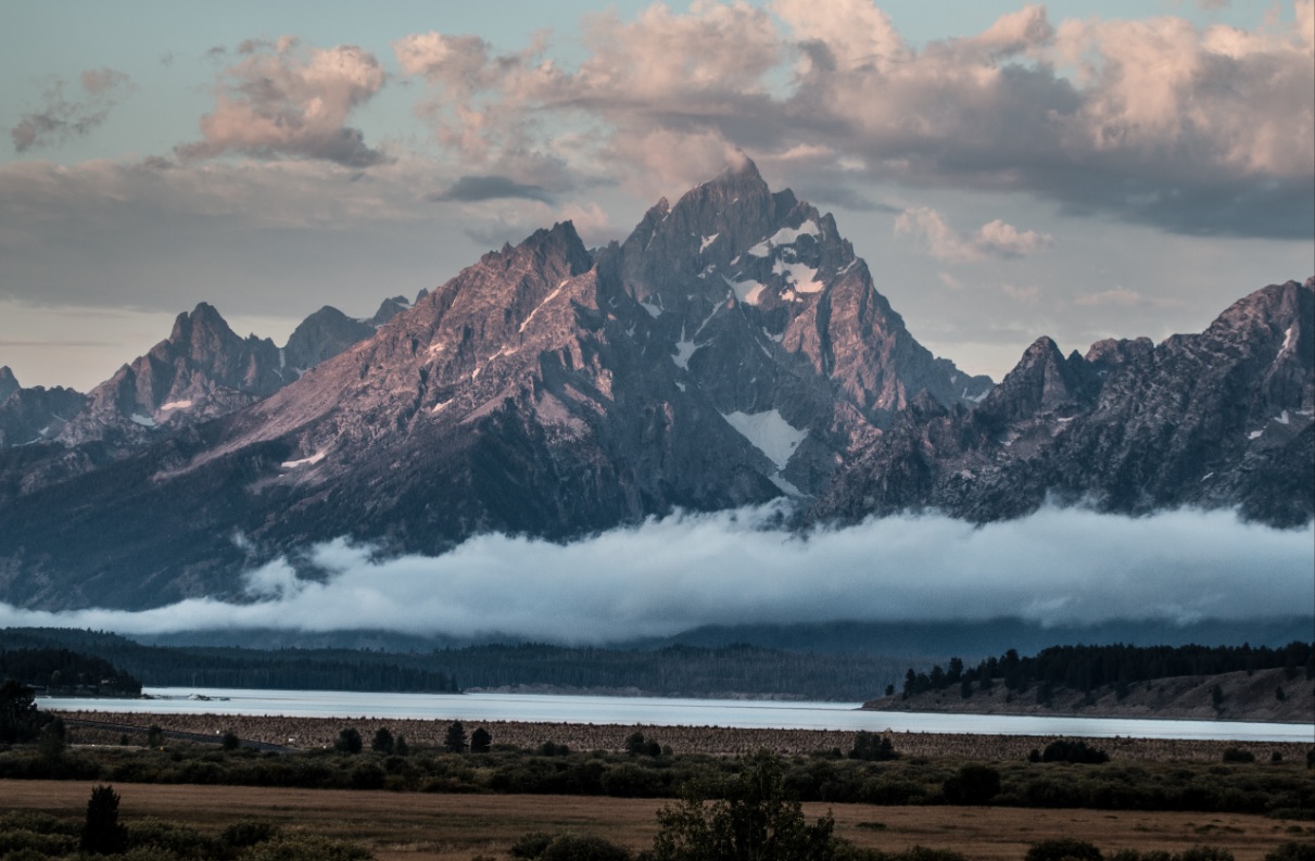 Grizzly bear #399’s Remains Returned to Grand Teton National Park