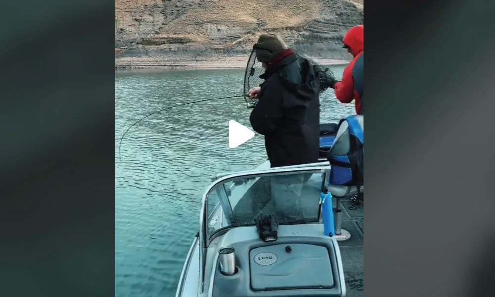 [VIDEO] Montana Angler Reels in a 13 Pound Walleye