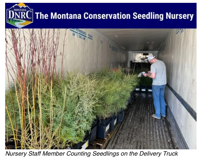 The Montana Conservation Seedling Nursery announces annual sale details