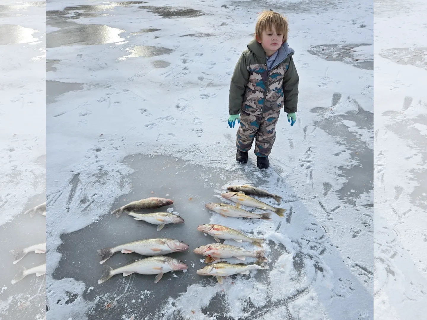 Dylan Sanders and Son Catch 2 Man Limit Ice Fishing with Homemade Tip Ups