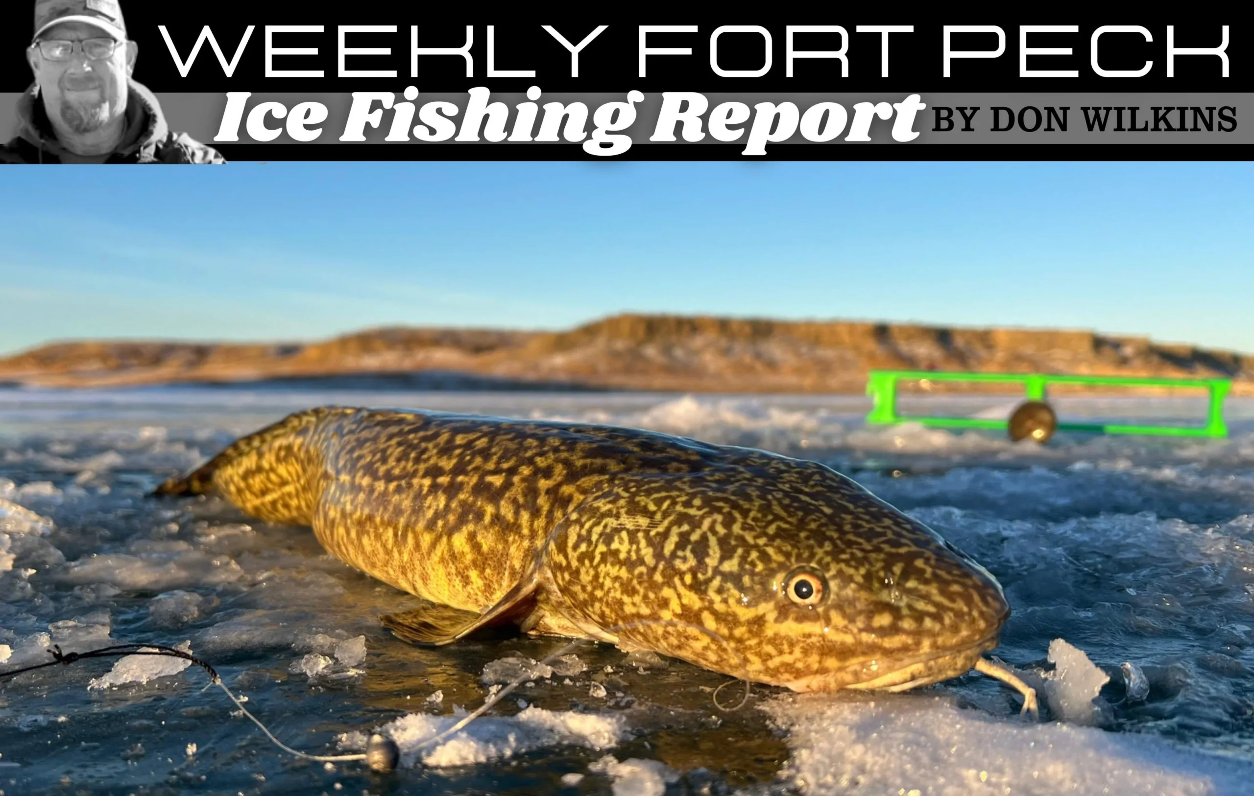 Don Wilkins’ Weekly Fort Peck Fishing Report 1.23.25