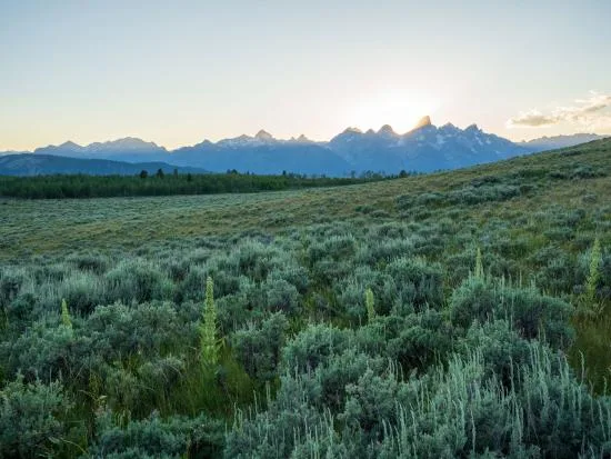 Interior Department Announces Permanent Protections for Critical Land and Wildlife Migration Corridor in Grand Teton National Park