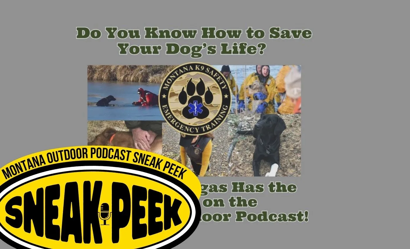 Exclusive MT Outdoor Podcast Sneak Peek: Racheal Vargas Shares Lifesaving Tips for Outdoor Adventures with Your Dog