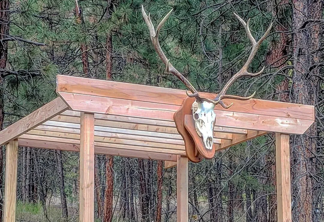 Unique Antler Creation Ideas